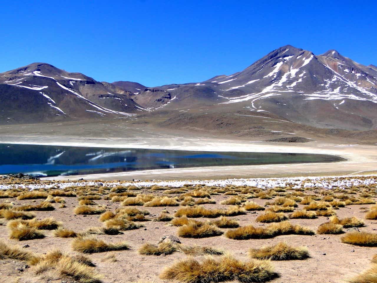 Atacama - Grupo ZA